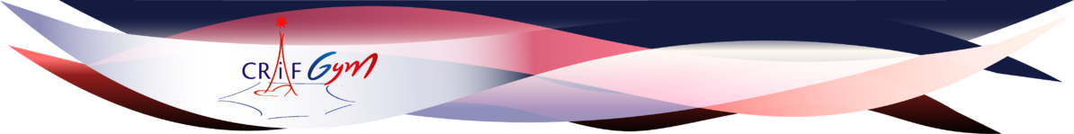 Comité Régional Île-de-France de Gymnastique FFGym Comité Régional Île-de-France de Gymnastique FFGym